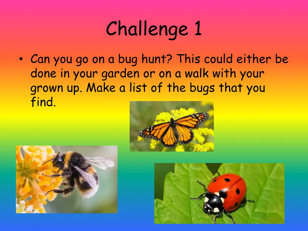 challenge 1