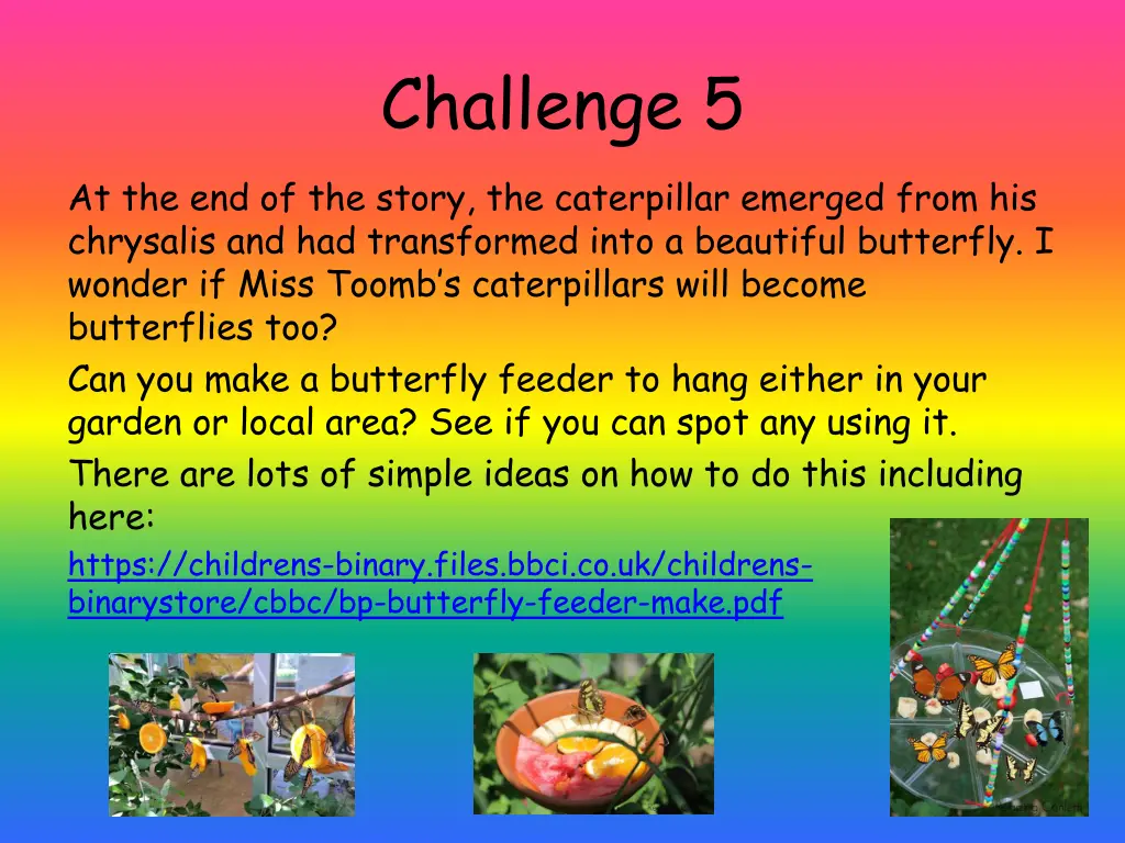 challenge 5