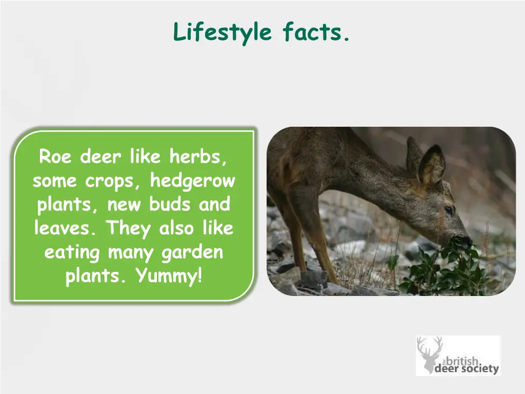 lifestyle facts 2