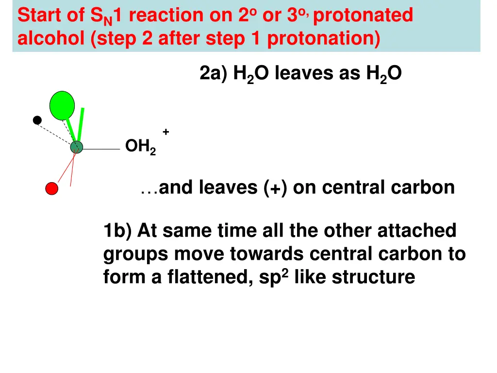 start of s n 1 reaction on 2 o or 3 o protonated