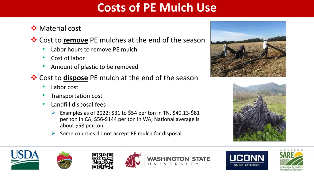 costs of pe mulch use