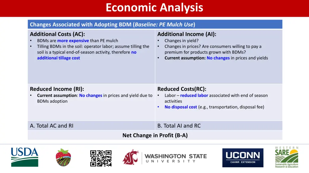 economic analysis