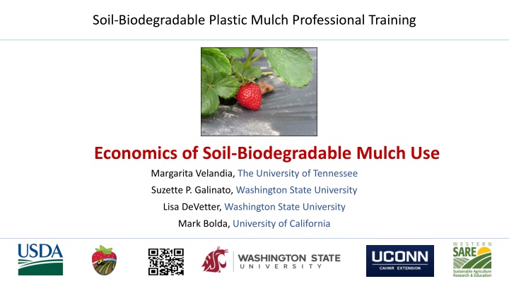 soil biodegradable plastic mulch professional