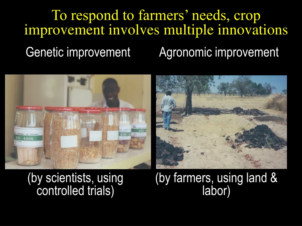 to respond to farmers needs crop improvement