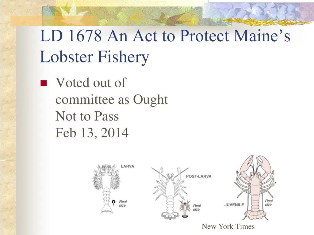 ld 1678 an act to protect maine s lobster fishery