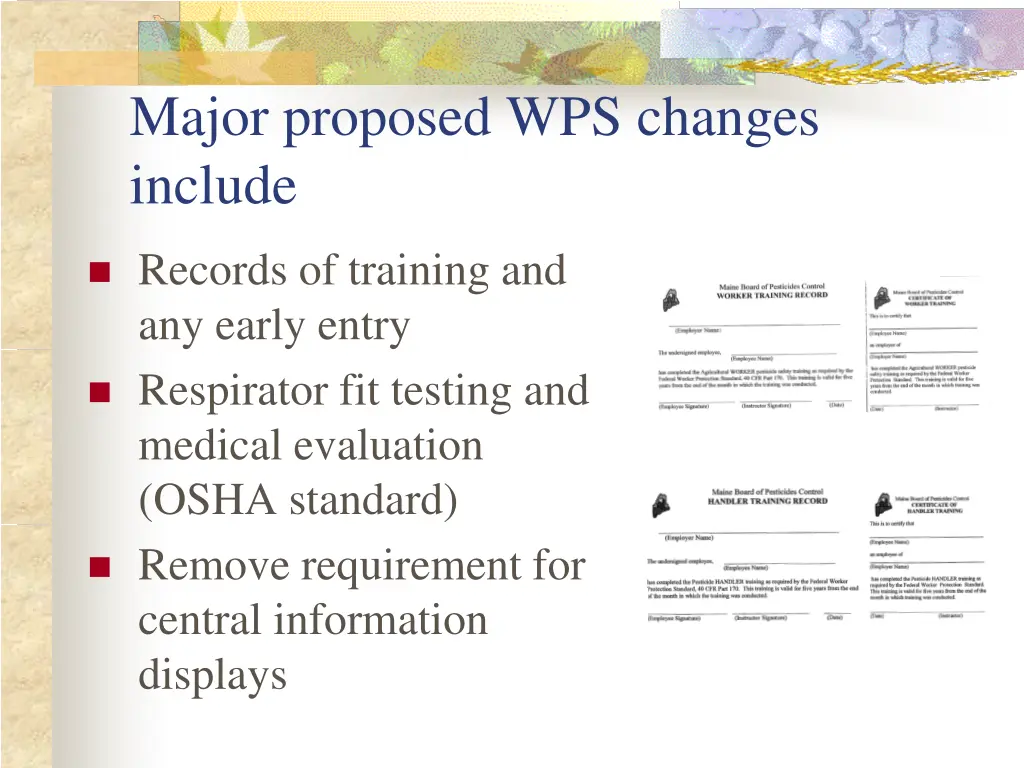 major proposed wps changes include 1