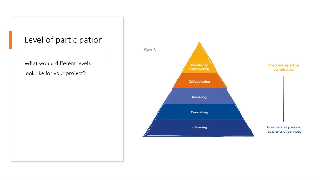 level of participation