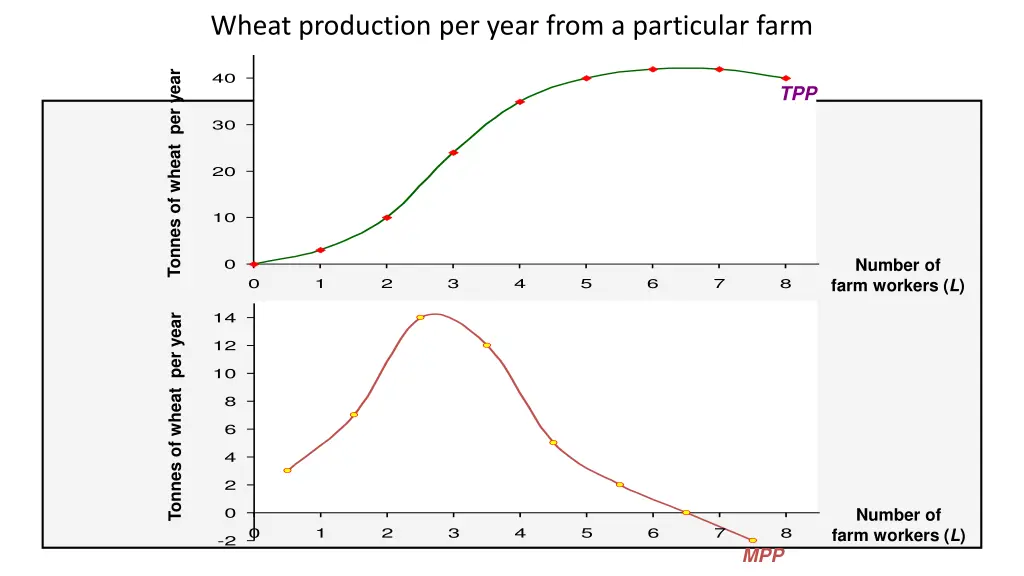 wheat production per year from a particular farm 2