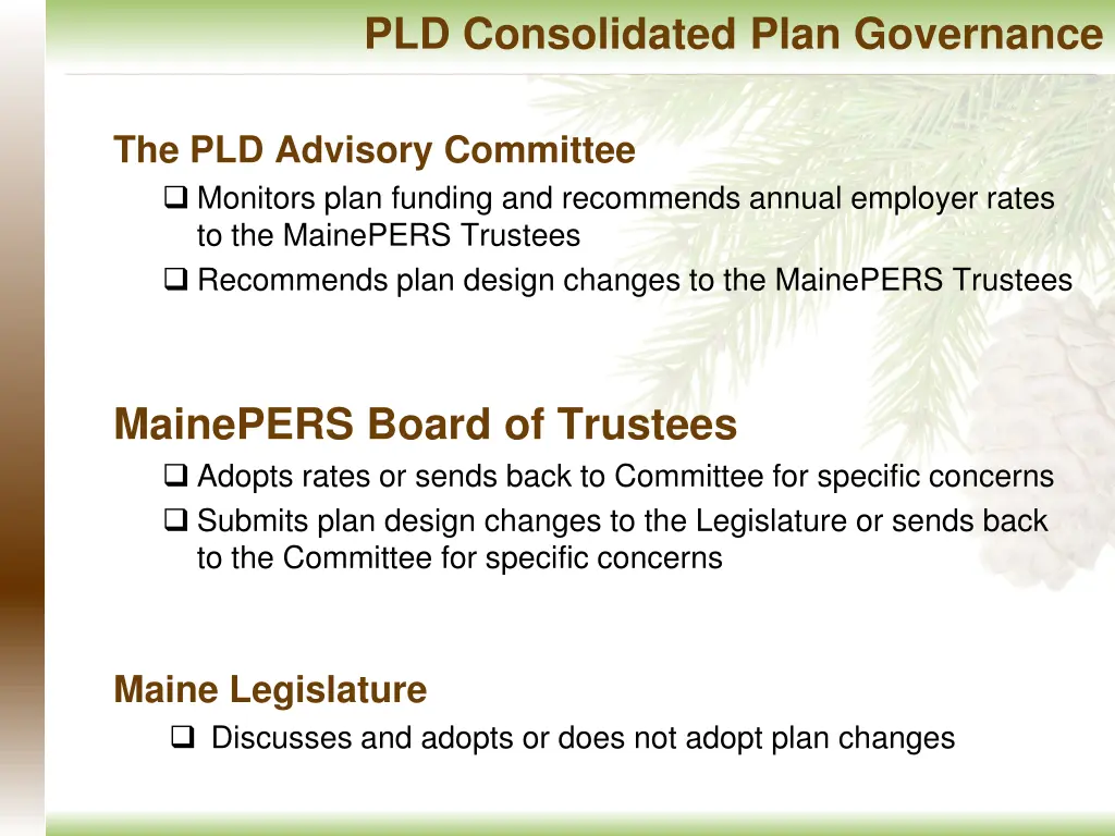 pld consolidated plan governance