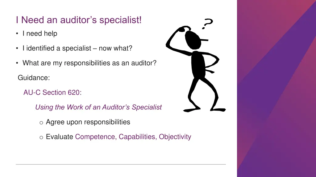 i need an auditor s specialist