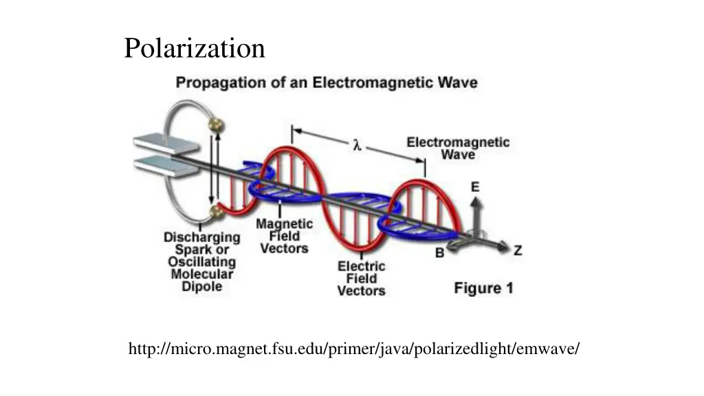 polarization