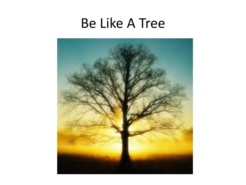 be like a tree