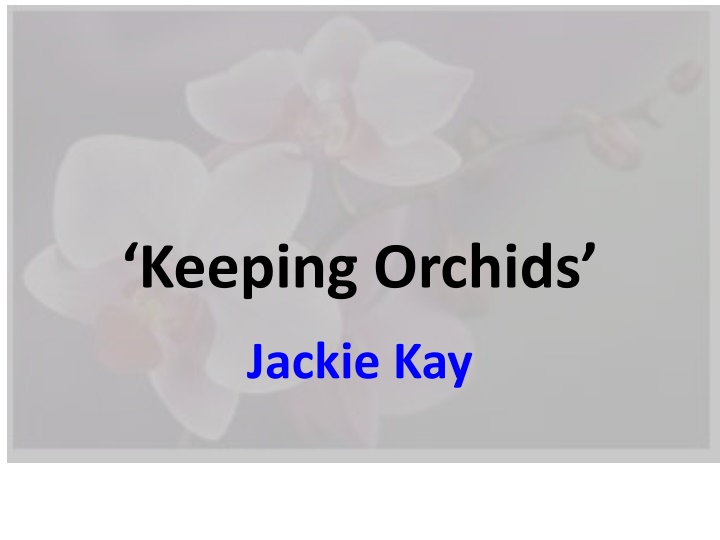 keeping orchids