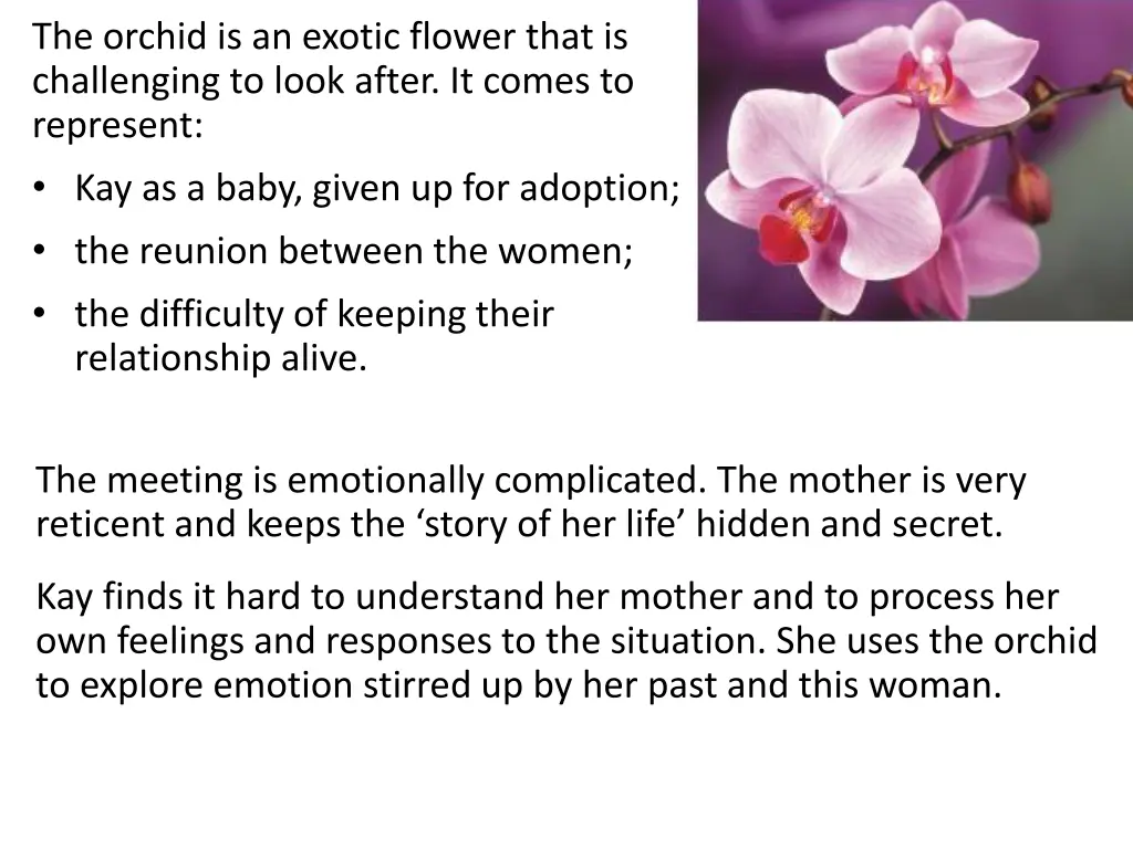 the orchid is an exotic flower that