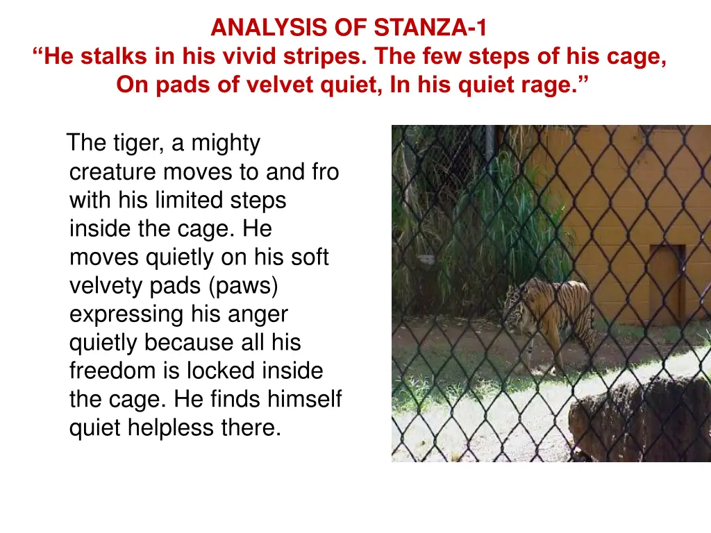 analysis of stanza 1