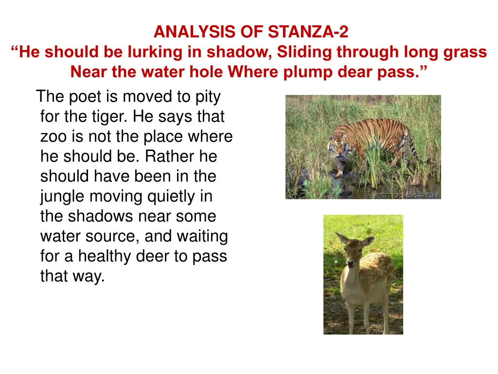 analysis of stanza 2