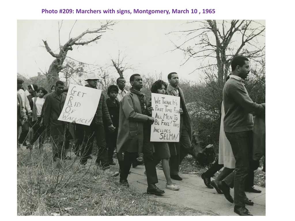 photo 209 marchers with signs montgomery march