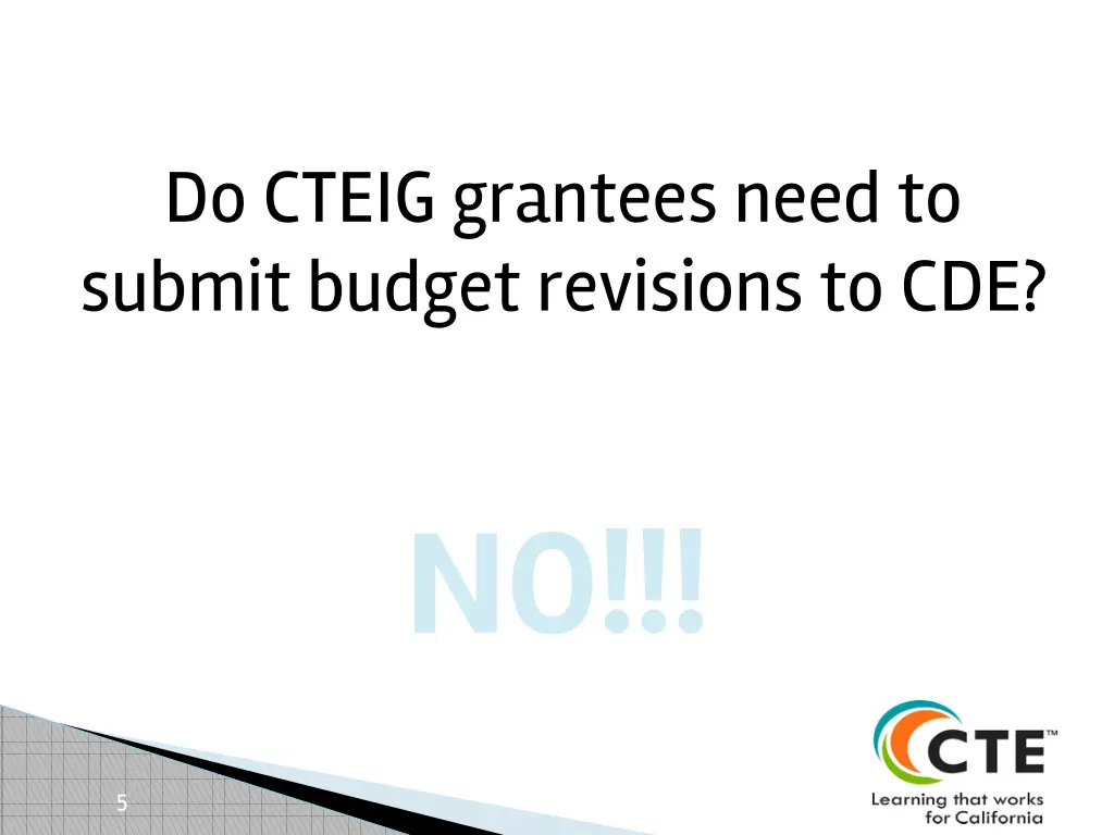 do cteig grantees need to submit budget revisions