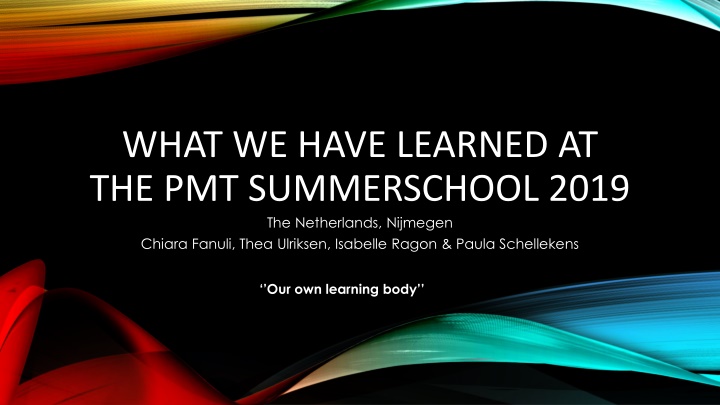 what we have learned at the pmt summerschool 2019