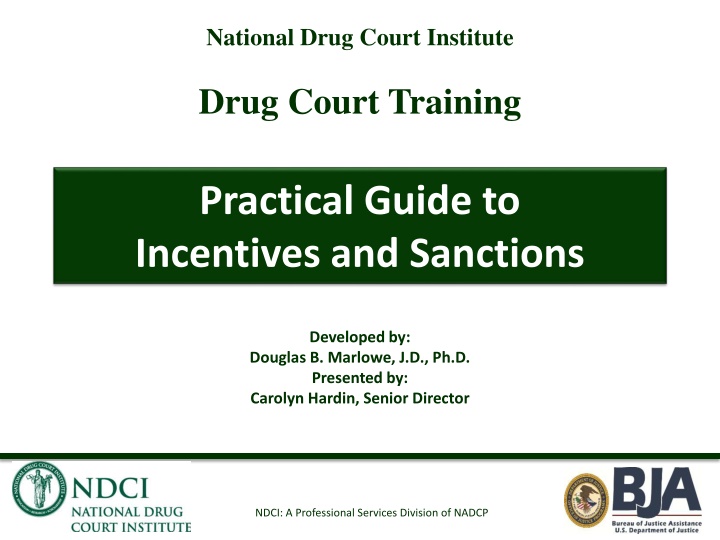 national drug court institute