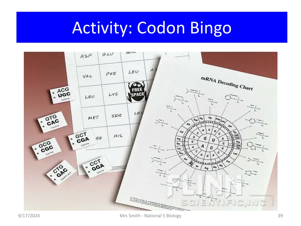 activity codon bingo