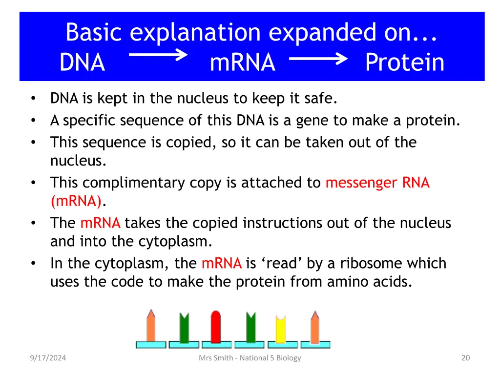 basic explanation expanded on dna mrna