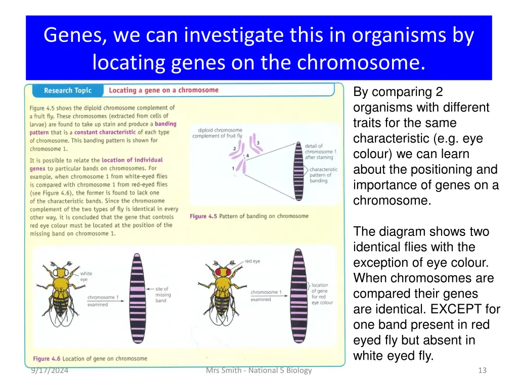 genes we can investigate this in organisms