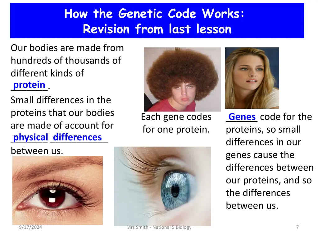 h ow the genetic code works revision from last