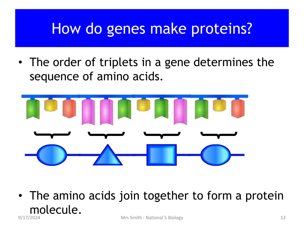 how do genes make proteins 1