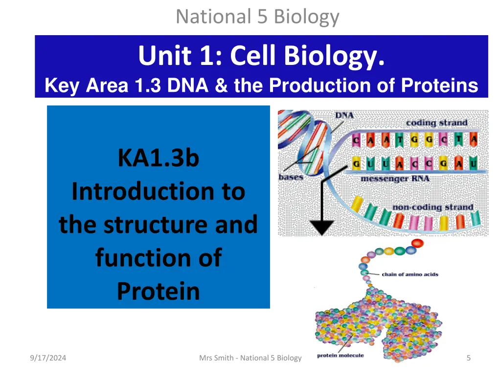 national 5 biology unit 1 cell biology key area 1