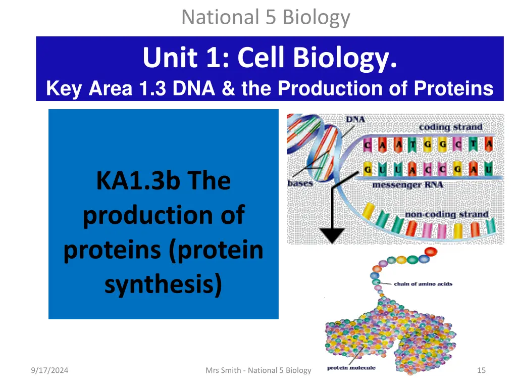 national 5 biology unit 1 cell biology key area 2