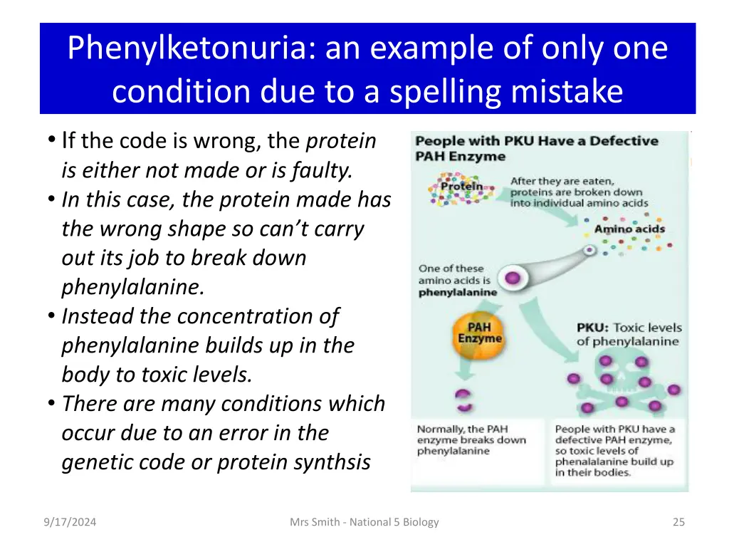 phenylketonuria an example of only one condition