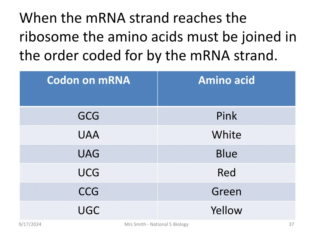 when the mrna strand reaches the ribosome