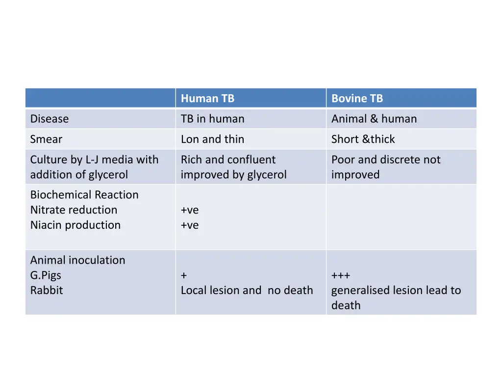 human tb