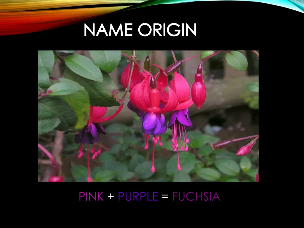 name origin