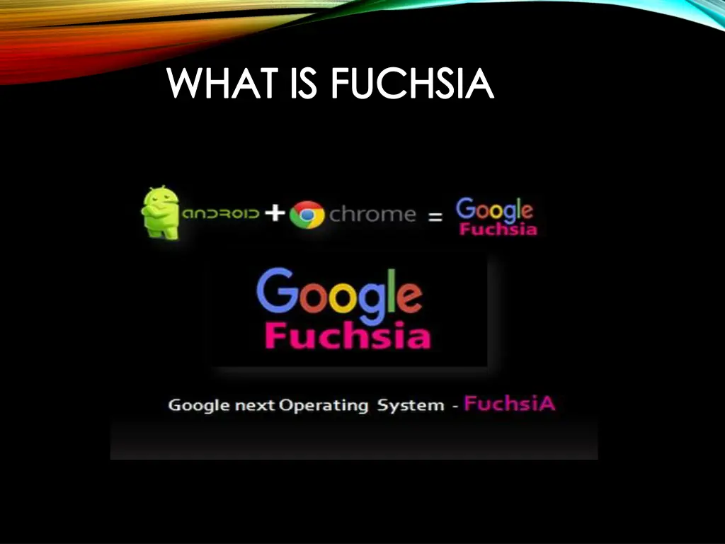 what is fuchsia