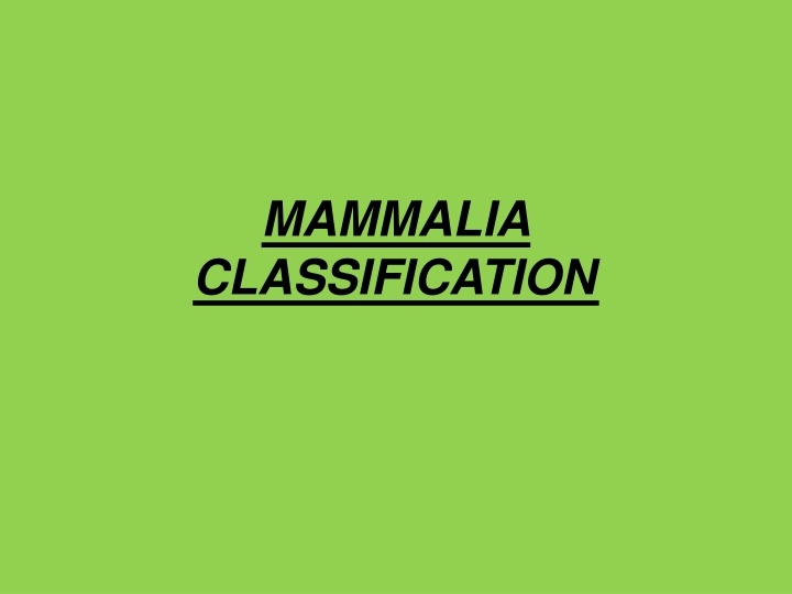 mammalia classification