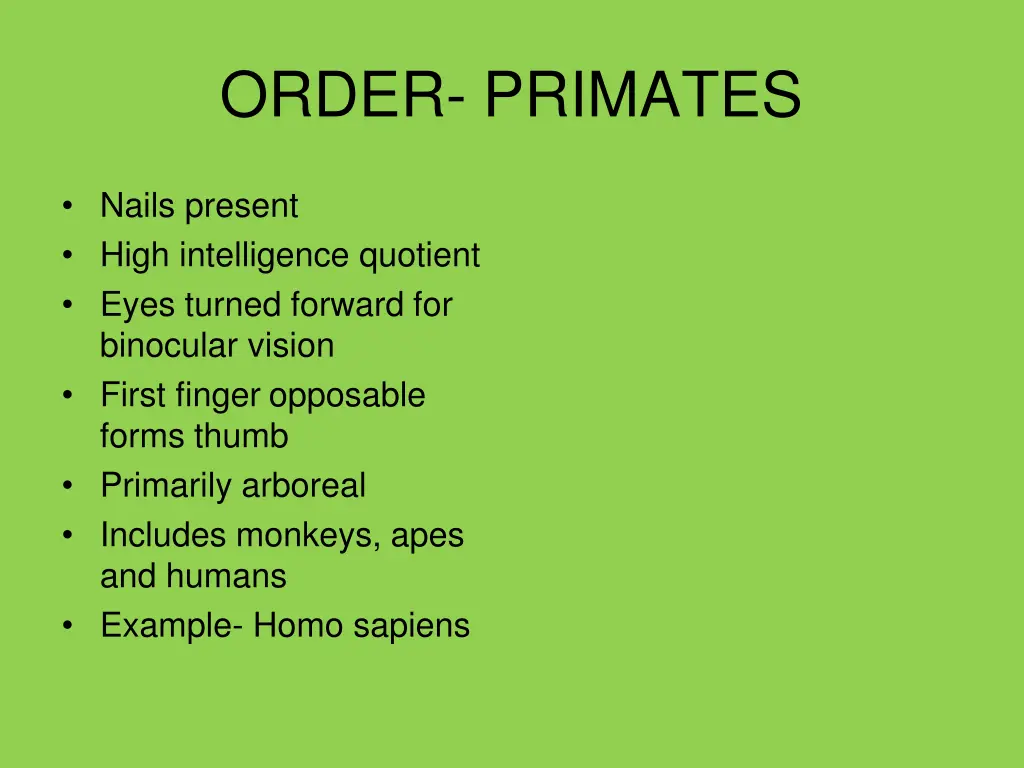 order primates