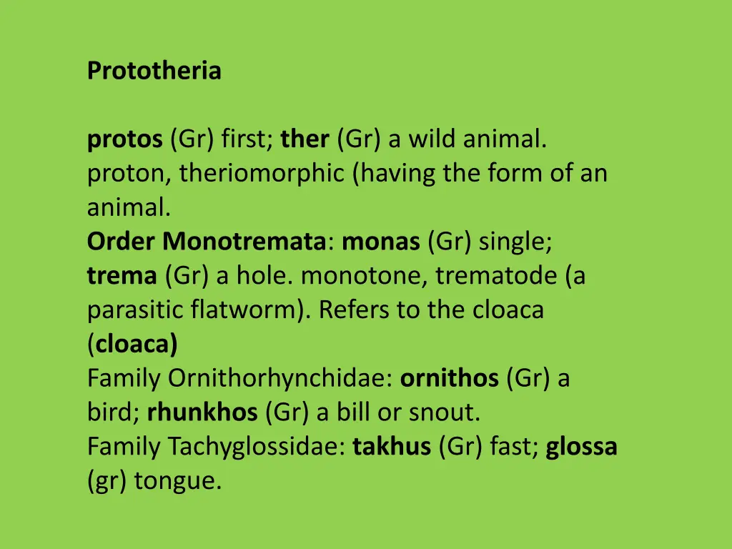 prototheria