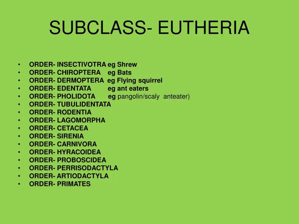 subclass eutheria