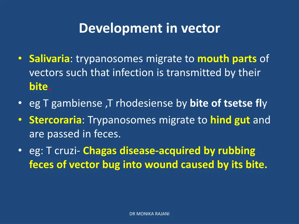 development in vector