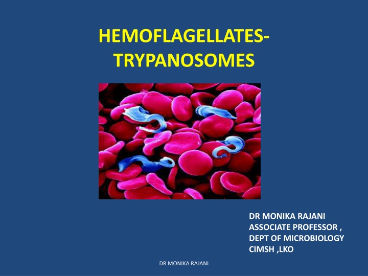 hemoflagellates trypanosomes