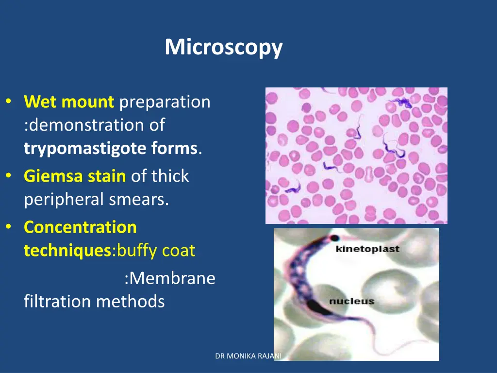 microscopy