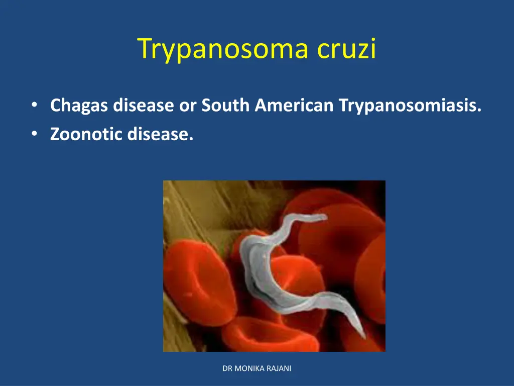 trypanosoma cruzi