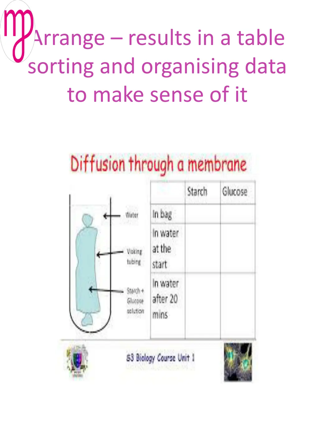 arrange results in a table sorting and organising