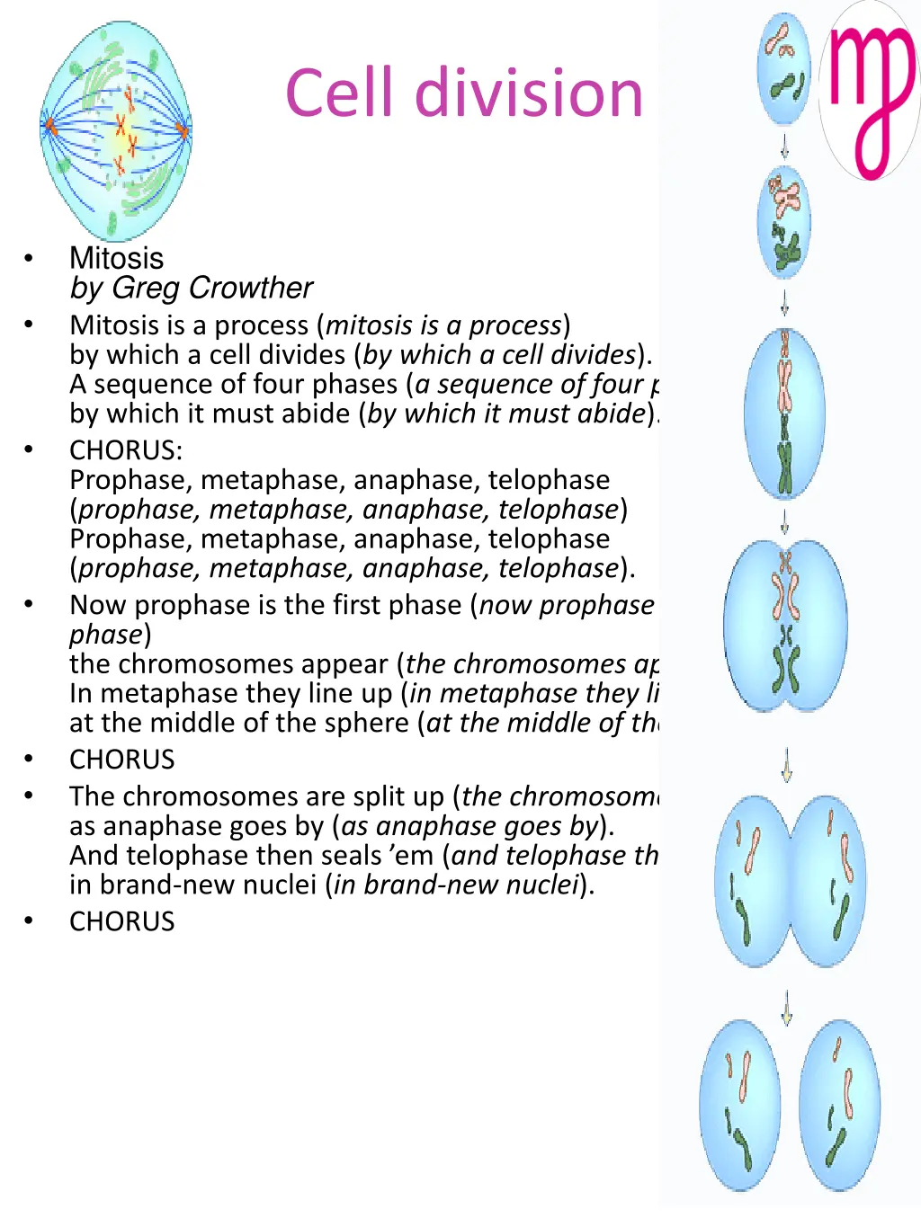 cell division