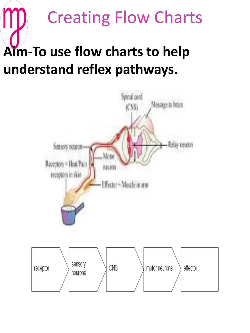 creating flow charts