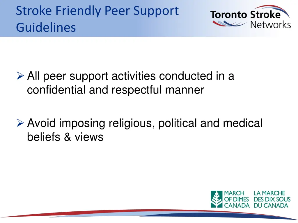 stroke friendly peer support guidelines 1