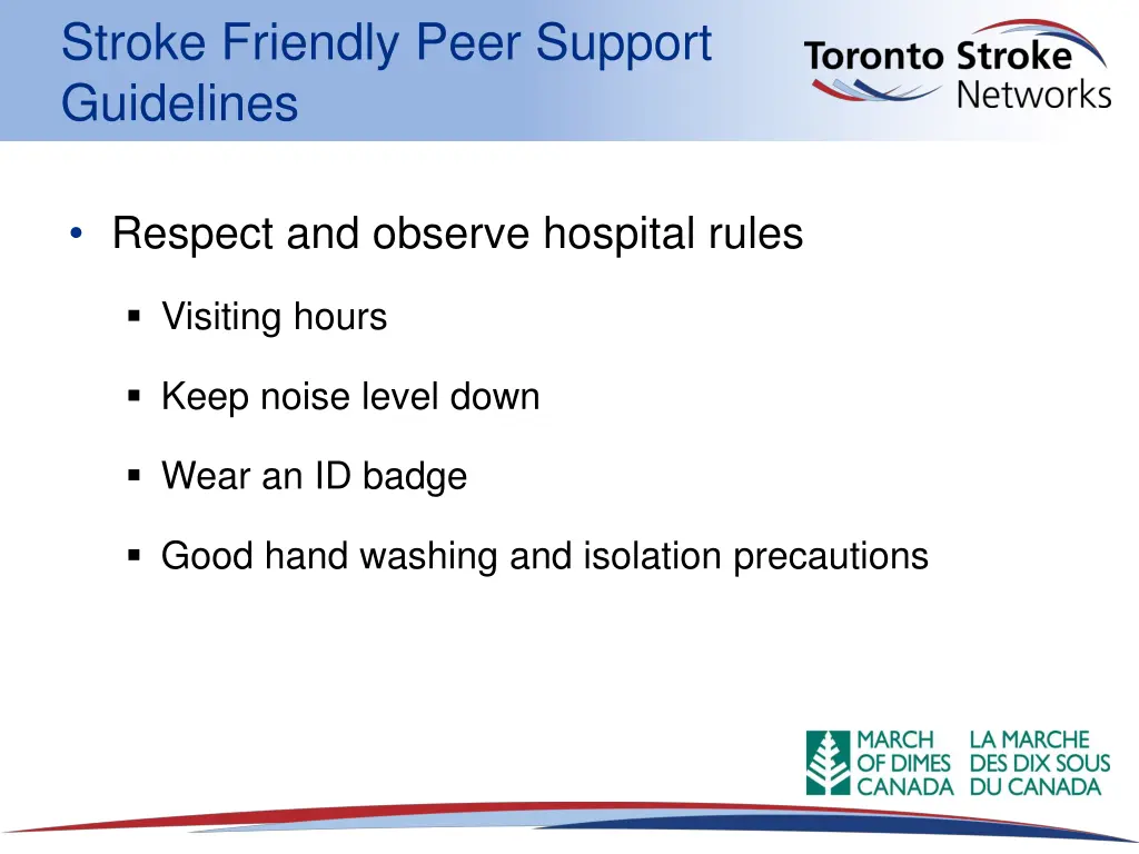 stroke friendly peer support guidelines 3