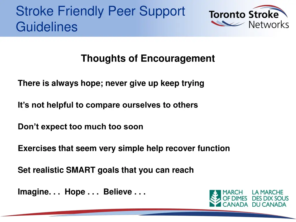 stroke friendly peer support guidelines 9